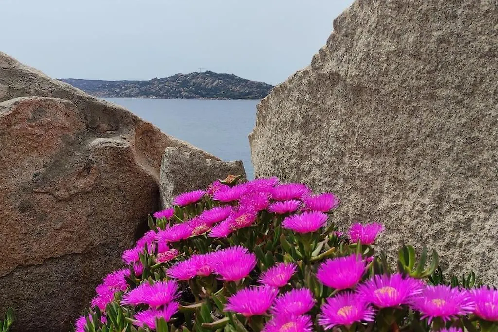 Apartamento Casa Blu B7 4 La Maddalena