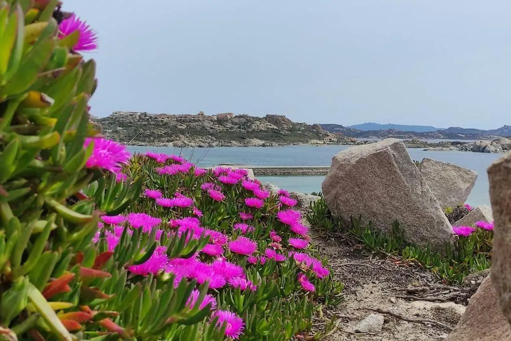 Apartamento Casa Blu B7 4 La Maddalena